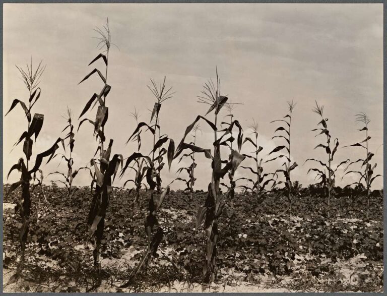 Alabama during the Depression