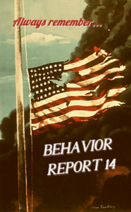 Behavior Report 14 poster that includes an American flag with rips and tears, flapping in a smoke ridden wind.